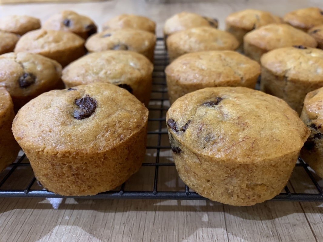 allergy-friendly-banana-choc-chip-mini-muffins-new-recipe-february-2025-4-001.jpeg
