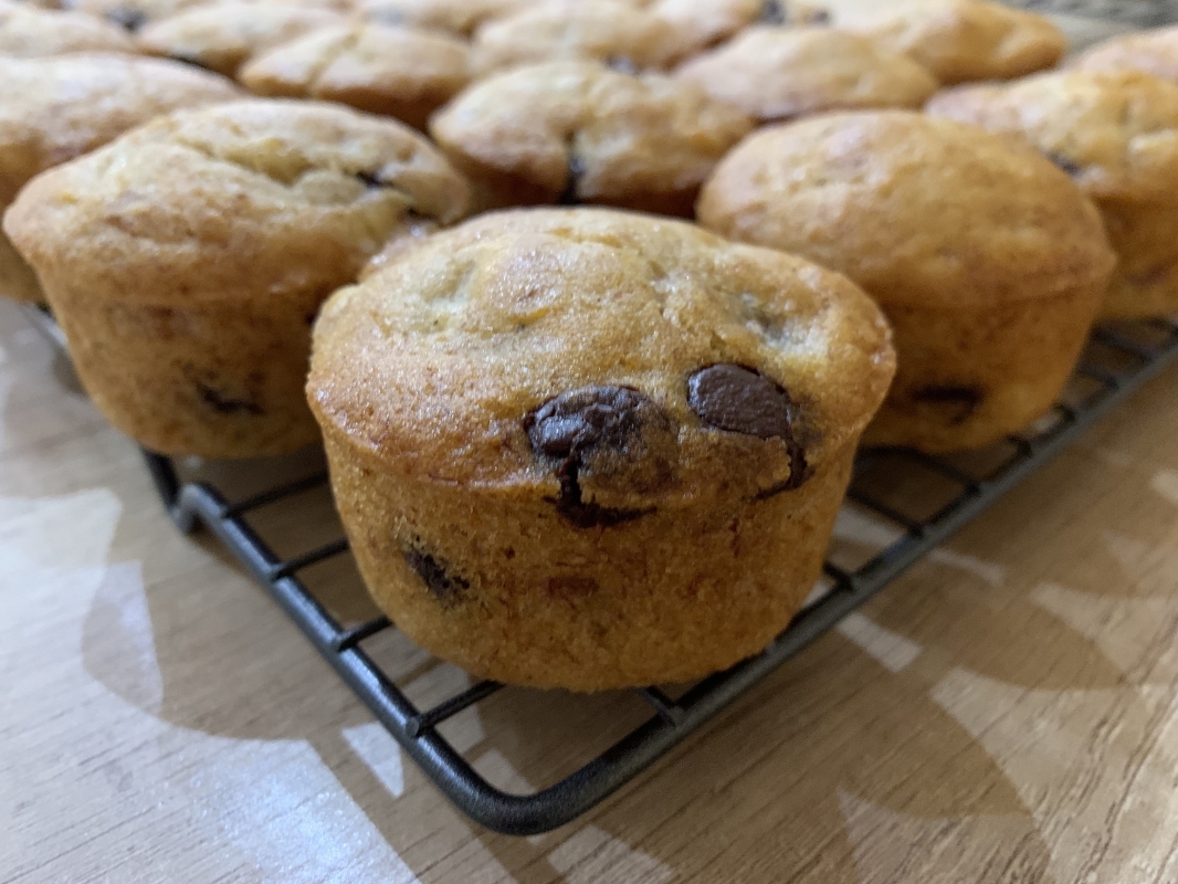 allergy-friendly-banana-choc-chip-mini-muffins-new-recipe-february-2025-5-002.jpeg