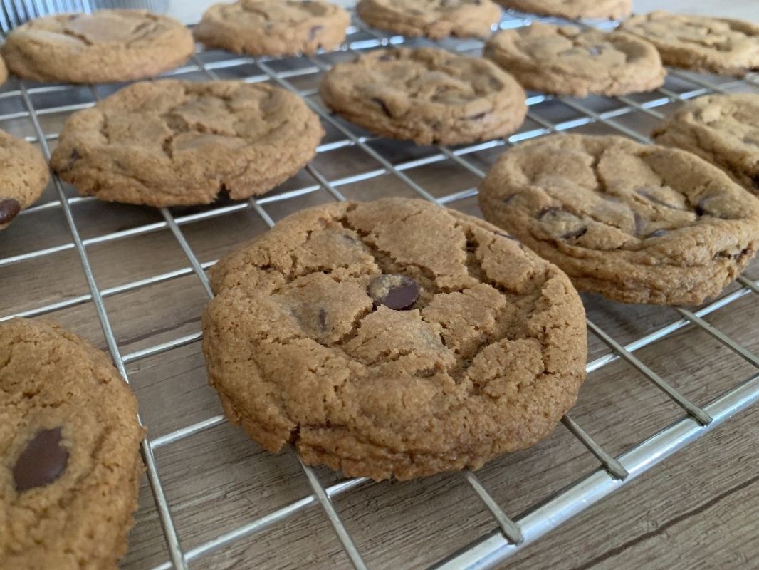 allergy-friendly-choc-chip-cookies-august-2025-2-001.jpg